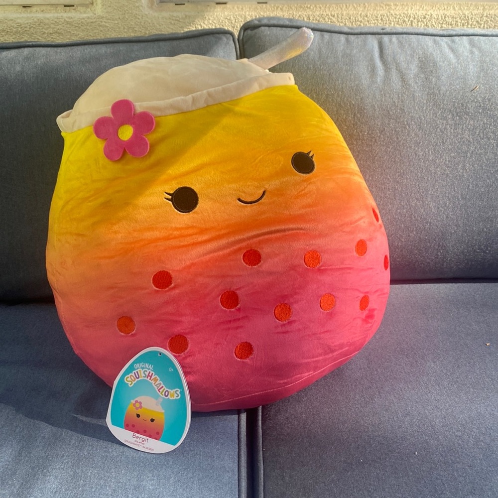 Hello I am selling a 20 inch Squishmallow named Bergit.
